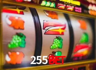 A Experiência Imersiva dos Cassinos Ao Vivo no 255BET